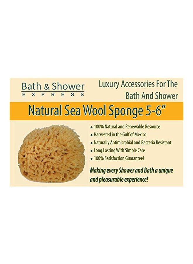 Bath & Shower Express Natural Sea Wool Sponge Beige - Image 4