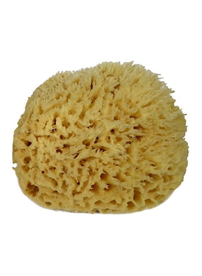Bath & Shower Express Natural Sea Wool Sponge Beige - Image 1