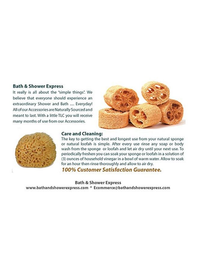 Bath & Shower Express Natural Sea Wool Sponge Beige - Image 2