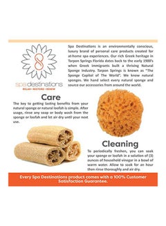 spa destinations Pack Of 2 Dry And Wet Body Brush Brown  - Image 4