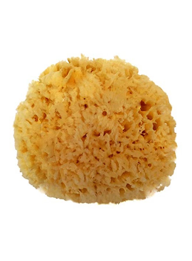 سبا ديستينايشنز إسفنجة بحر من الصوف للسبا بيج 6بوصة