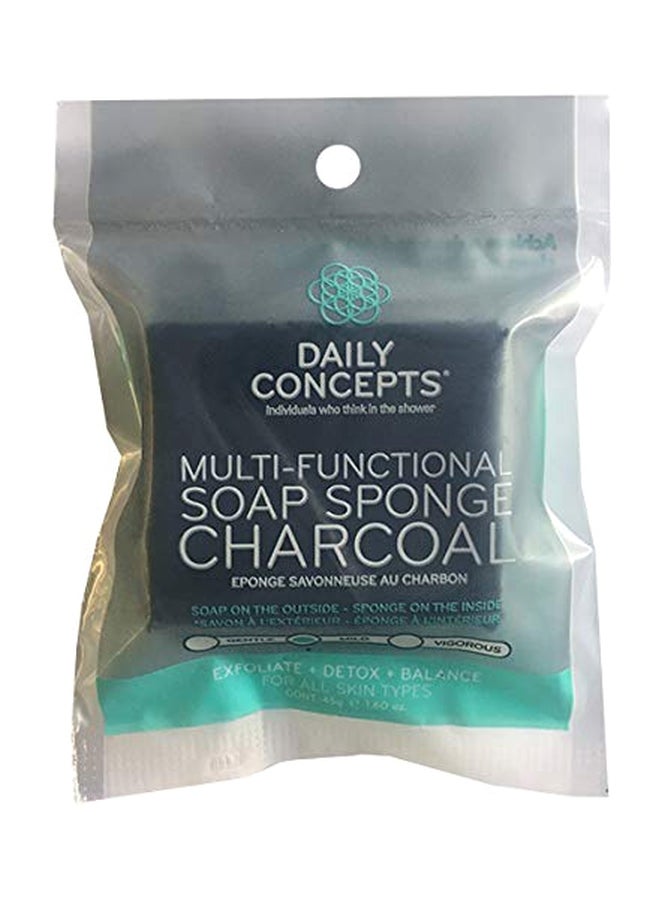 Daily Concepts Multi Functional Soap Sponge Multicolour