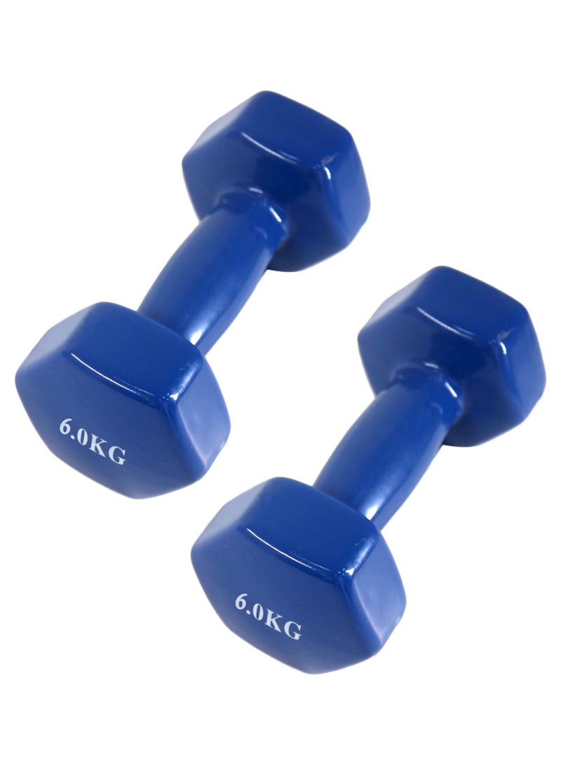 Generic Set Of 2 Fitness Dumbbells - 2 x 6 kg 2 x 6kg 2 x 6kg  - Image 1