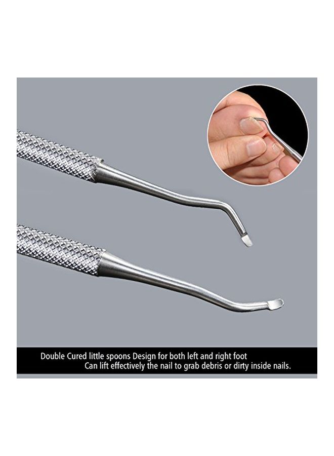 FAMILIFE - 2-Piece Ingrown Toenail File and Lifter Double Sided with Storage Case Set Silver - Image 1