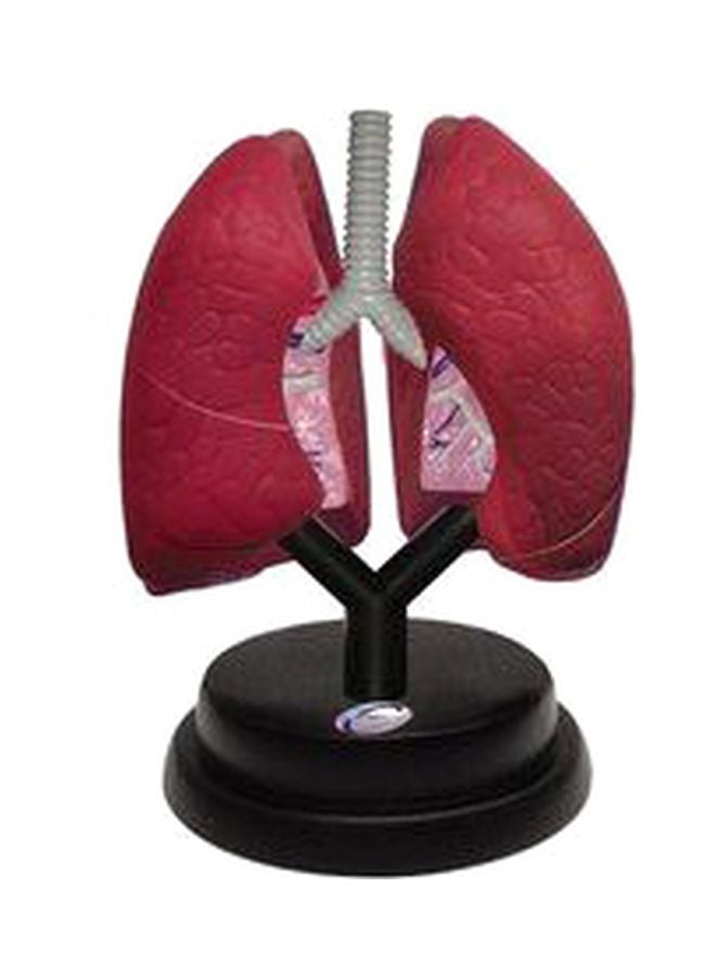 Eastcolight Deluxe Respiratory Set 29965  - Image 1