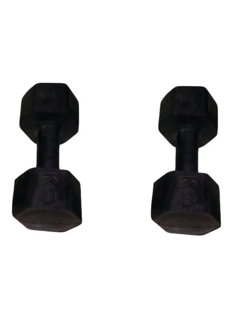 2-Piece Dumbbell Set 16kg 16kg