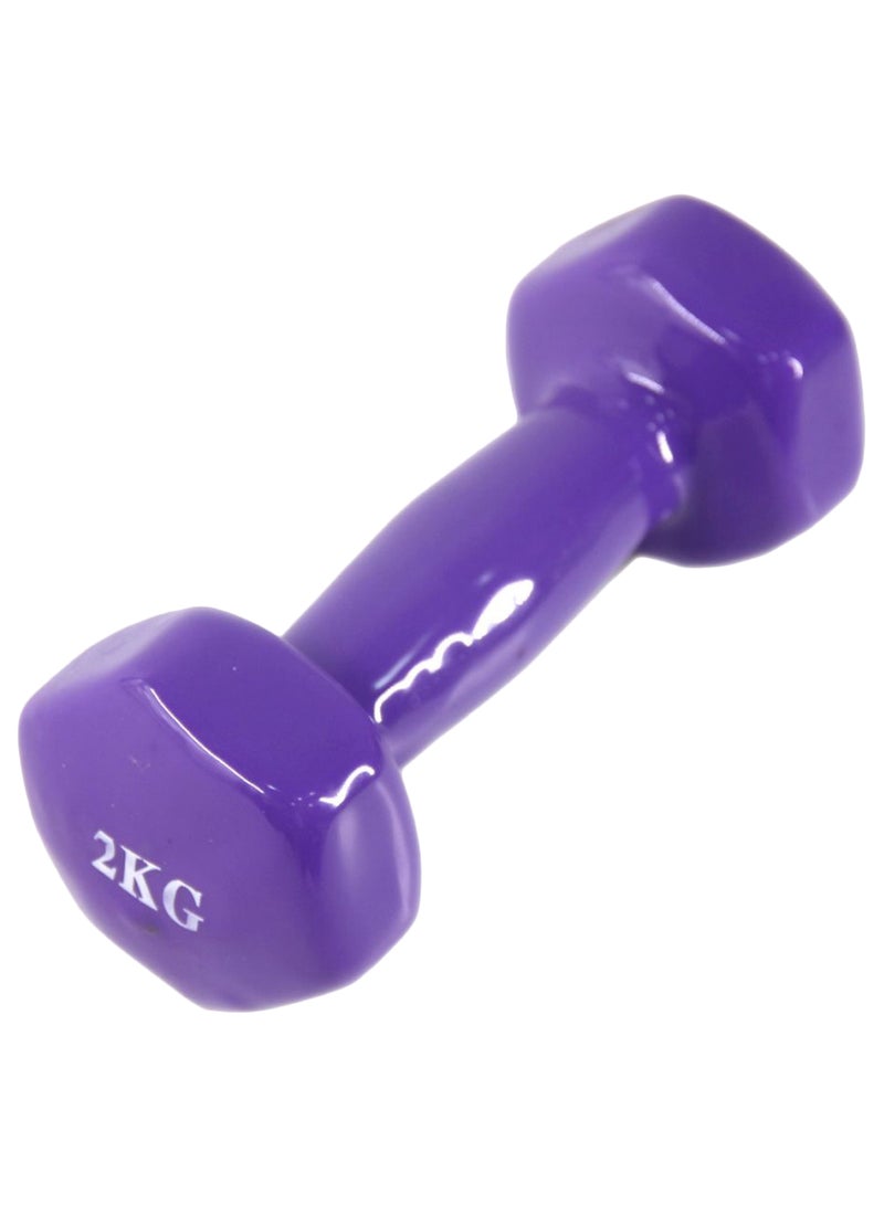 Gym Dumbbell 2kg - Image 1