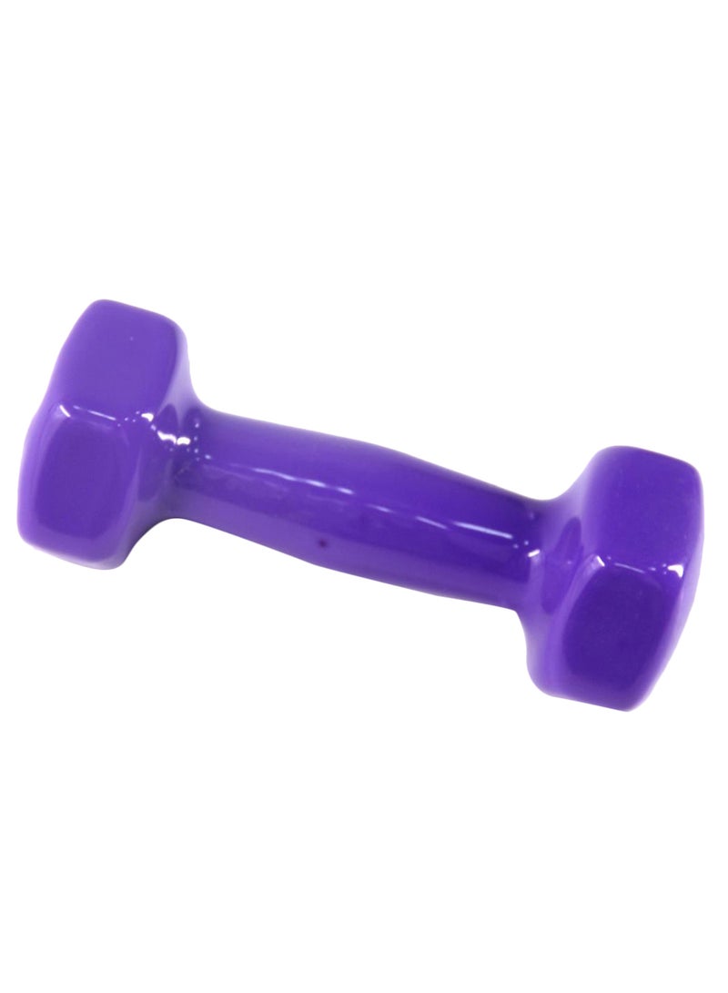 Gym Dumbbell 2kg - Image 2