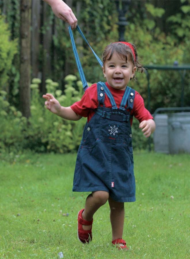 Safety 1st - Safety Harness - Image 1