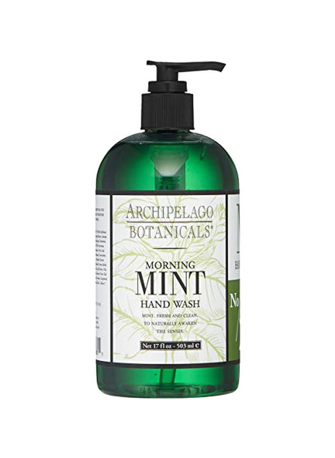 Archipelago Botanicals Botanicals Morning Mint Hand Wash 500ml - Image 1