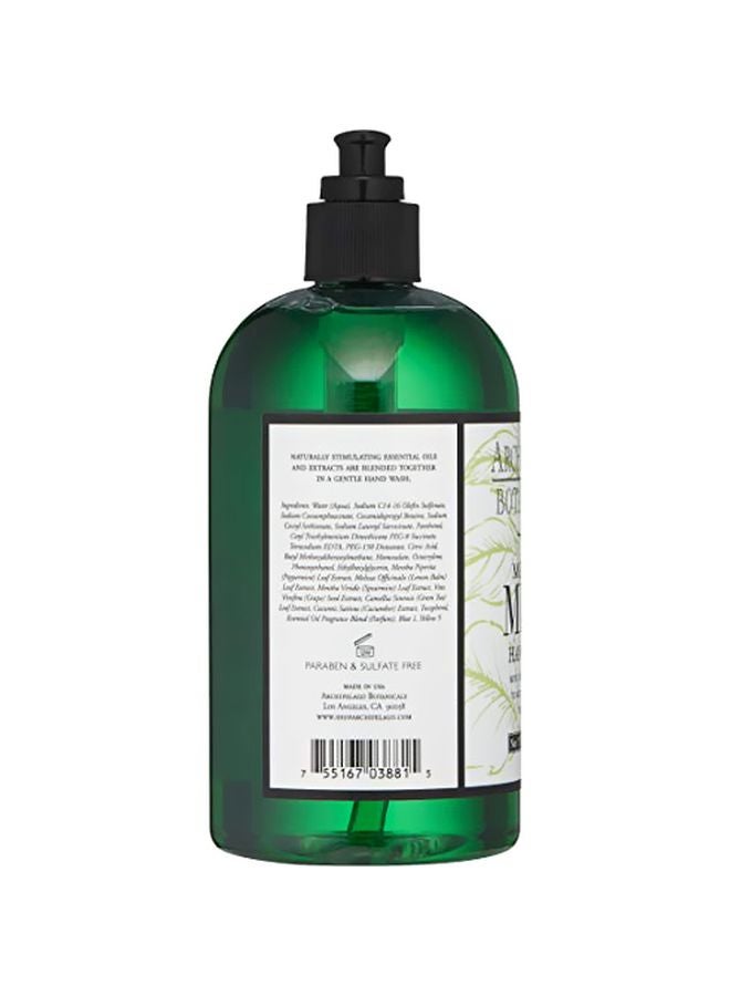 Archipelago Botanicals Botanicals Morning Mint Hand Wash 500ml - Image 3