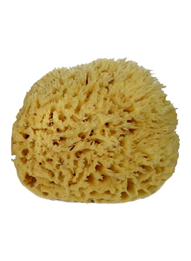Bath & Shower Express Sea Wool Sponge Beige M - Image 1