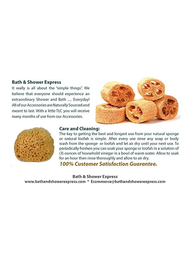 Bath & Shower Express Sea Wool Sponge Beige M - Image 2