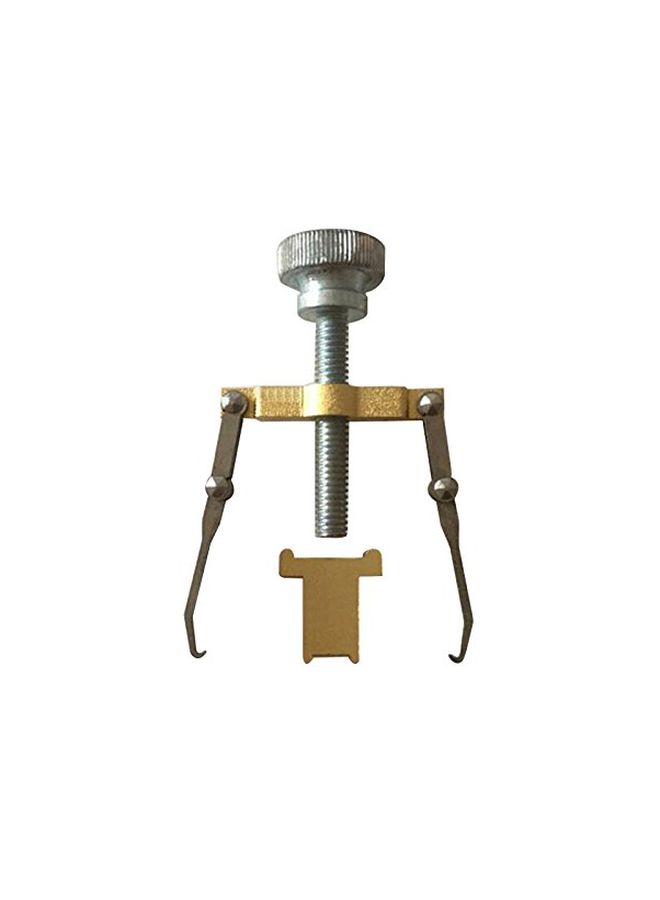 Pevor - Ingrown Toe Nail Correction Tool Gold/Silver - Image 1