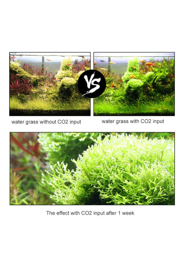 نظام مولد لثاني أكسيد الكربون لأحواض السمك من الستانلس ستيل فضي 44 x 15 x 15سم - Image 3