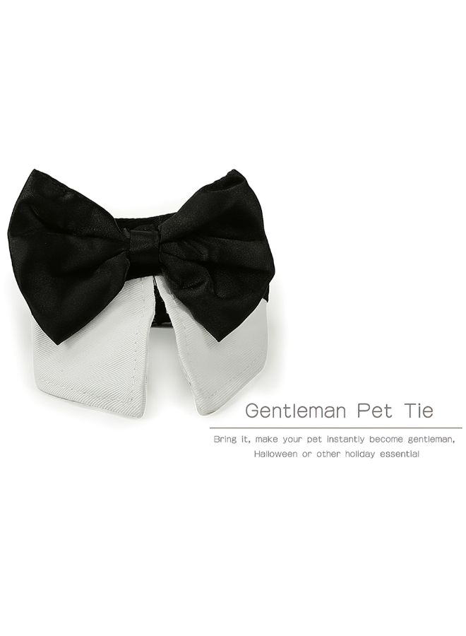 Dog Bow Tie Black/White 10.00 x 1.20 x 6.00centimeter - Image 2
