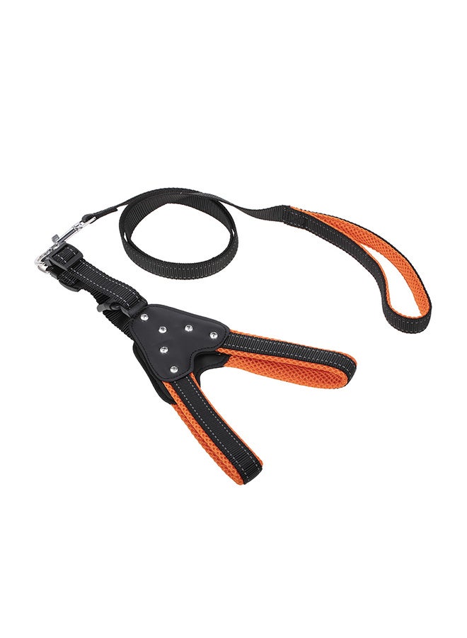Non Adjustable Chest Strap For Pet Orange/Black - Image 1
