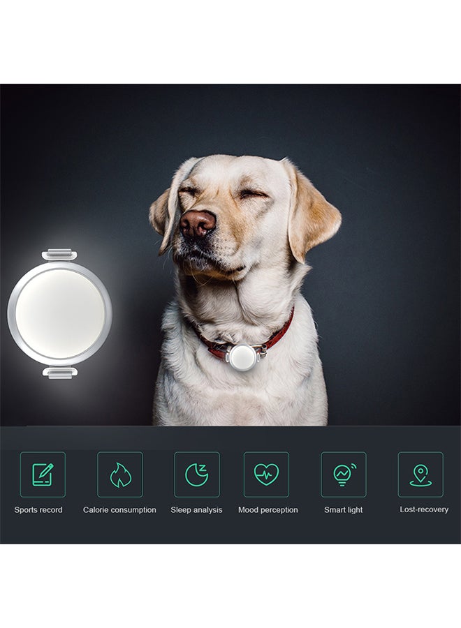 Smart Pet Tracker White 12 x 3 x 12cm