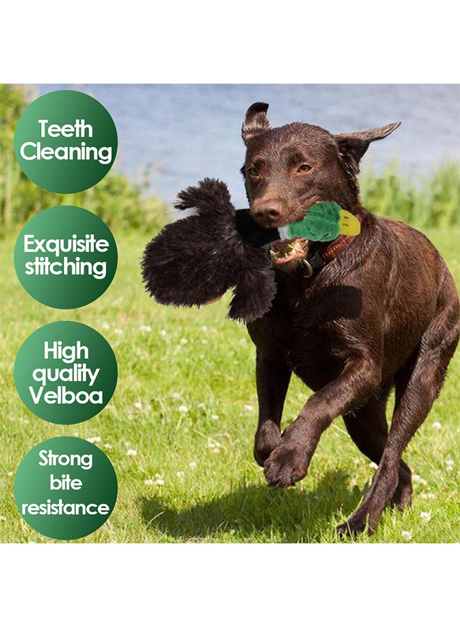 Squeaky Dog Chew Toy Brown/Green 25 x 5 x 9cm - Image 4