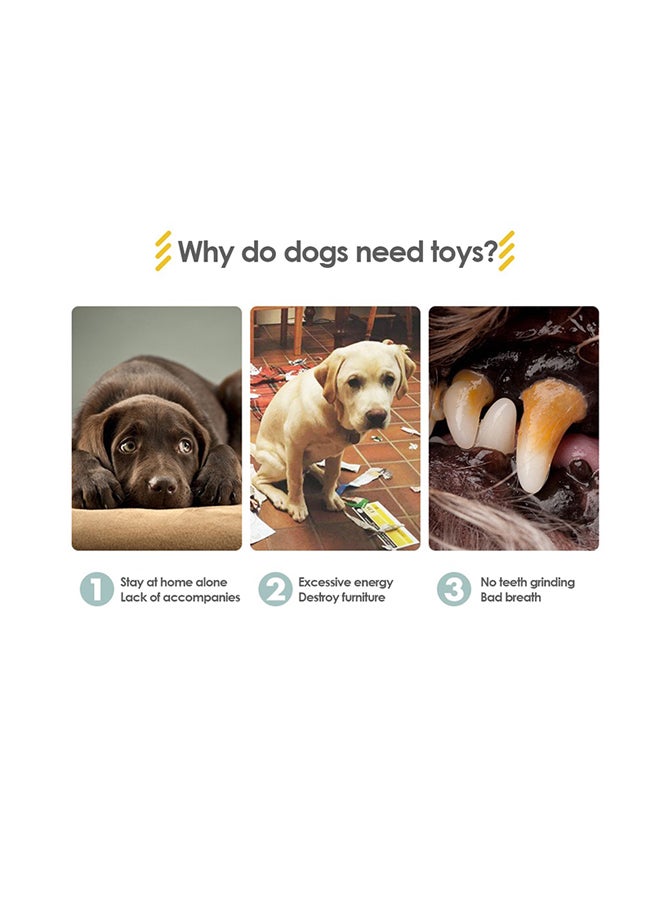 لعبة مضغ للكلاب تصدر صوتاً أزرق داكن 32 x 5 x 23سم - Image 5