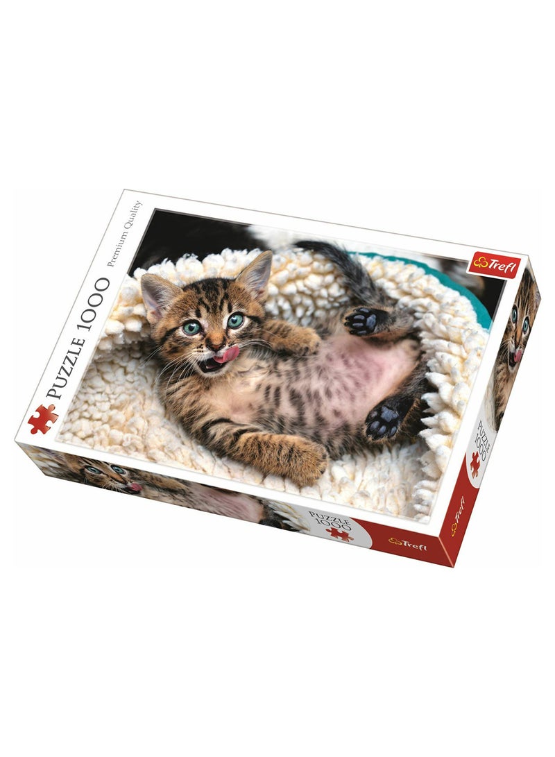 Cheerful Kitten Puzzle 68 x 48cm - v1568820350/N29905340A_1