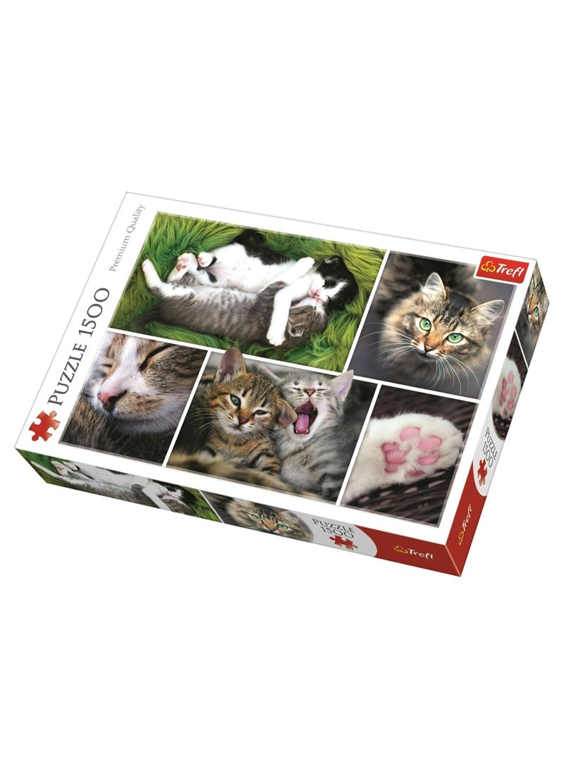 Trefl 1500-Piece Montage Cats Jigsaw Puzzle Set 26145 85 x 58cm 
