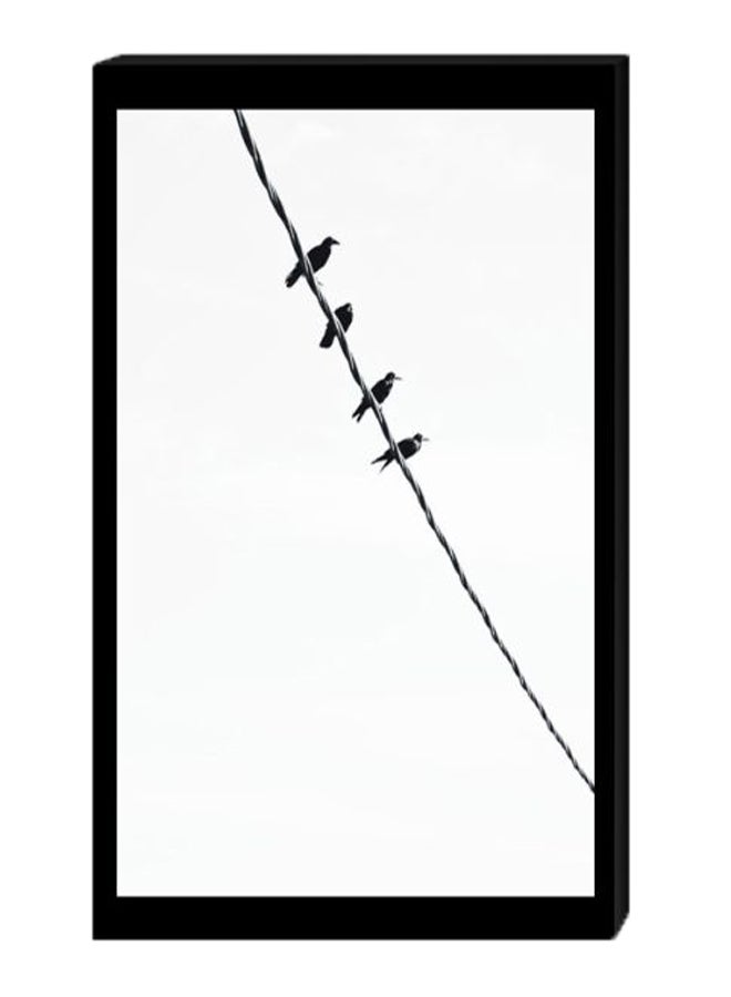 Birds Wall Decor Painting With Inner Frame Black/White 40 x 60cm