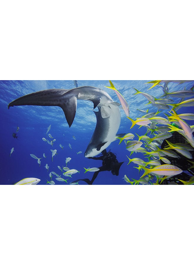 جو برو غطاء غوص مناسب لكاميرا طراز هيرو 5 أسود/شفاف - Image 4