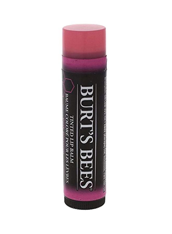 Burt's Bees Tinted Lip Balm