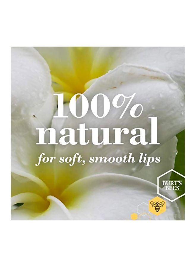 Burt's Bees - 2-Piece Beeswax Lip Balm 8.5grams - Image 1