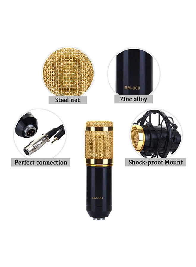 BM-700 Condenser Microphone With Plastic Shock Mount BM-700 Black - Image 2