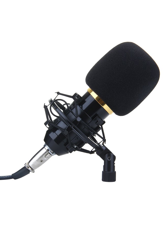 BM-700 Condenser Microphone With Shock Mount BM-700 Black - Image 2