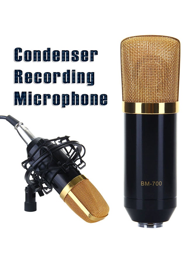 BM-700 Condenser Microphone With Shock Mount BM-700 Black - Image 3