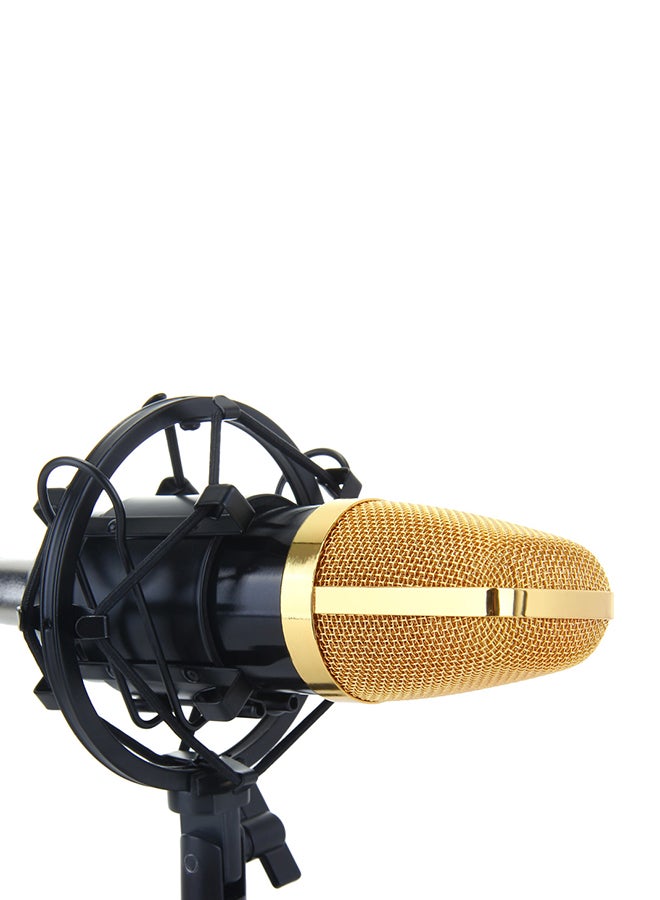 BM-700 Condenser Microphone With Shock Mount BM-700 Black - Image 4