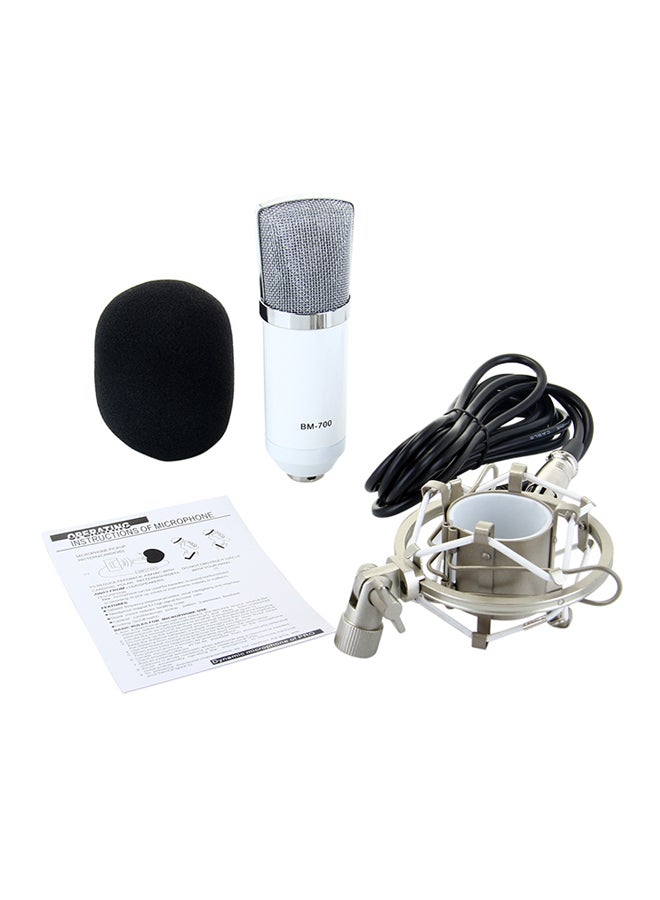 BM-700 Condenser Microphone With Shock Mount BM-700 White  - Image 2