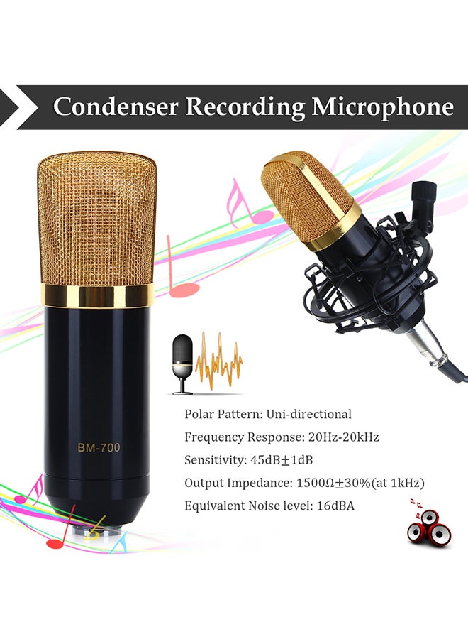 BM-700 Condenser Microphone With Shock Mount BM-700 Black - Image 5