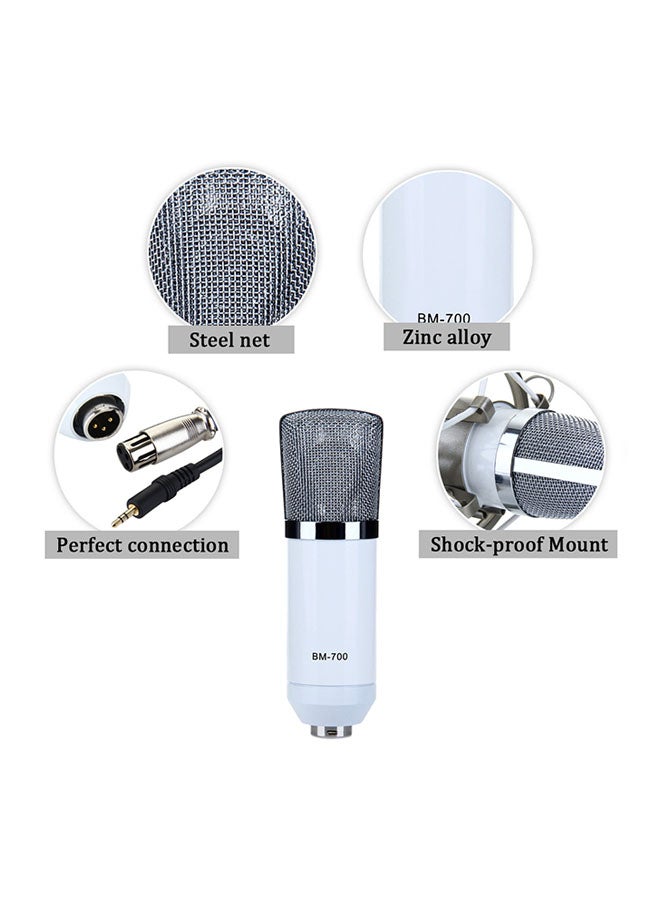 BM-700 Condenser Microphone With Shock Mount BM-700 White  - Image 4