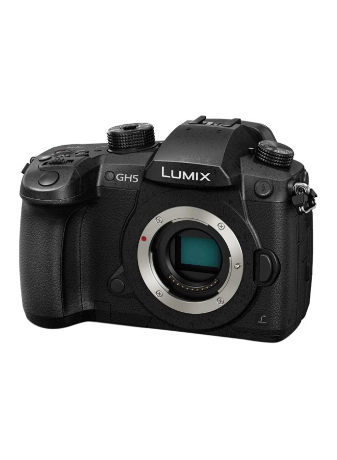 Panasonic - Lumix DMC-GH5 20.3 MP Mirrorless Digital Camera (Body Only) - Image 1