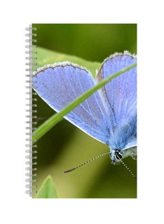 Generic Printed Spiral Bound Printed A4 Notebook Green/Blue 