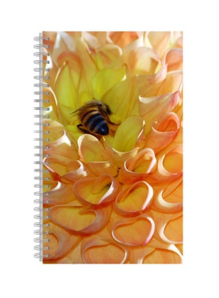 A4 Printed Spiral Bound Notebook Yellow/Orange - v1569480874/N30357424A_1