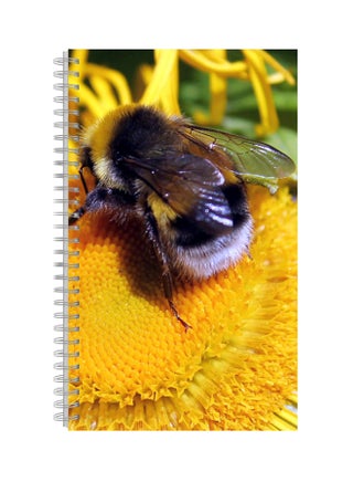 A4 Printed Spiral Bound Notebook Multicolour - v1569480908/N30357604A_1