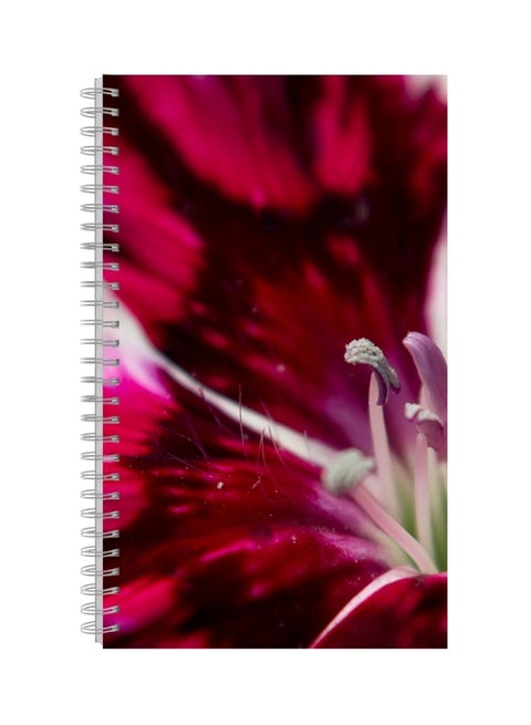 A4 Printed Spiral Bound Notebook Multicolour