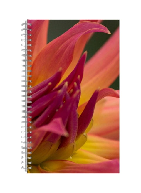 A4 Printed Spiral Bound Notebook Multicolour