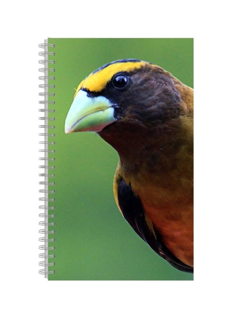 A4 Printed Spiral Bound Notebook Multicolour