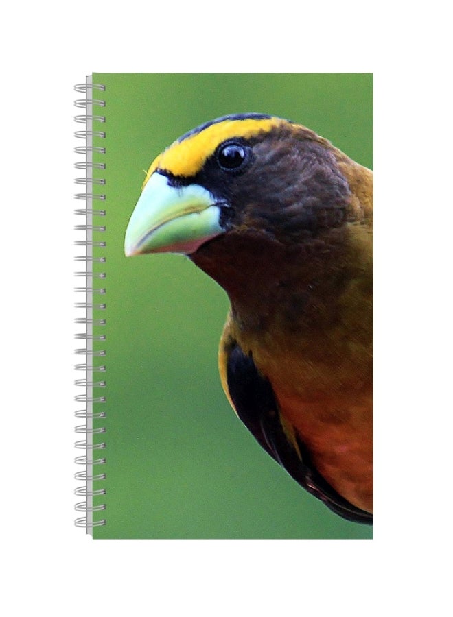 A4 Printed Spiral Bound Notebook Multicolour