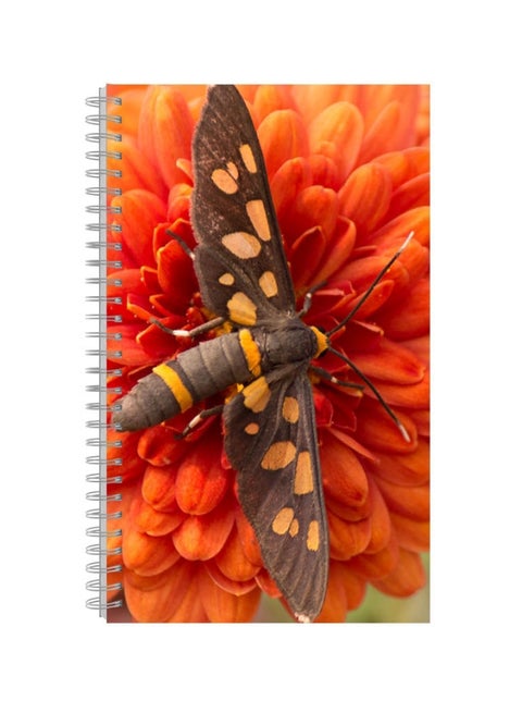 A4 Printed Spiral Bound Notebook Multicolour