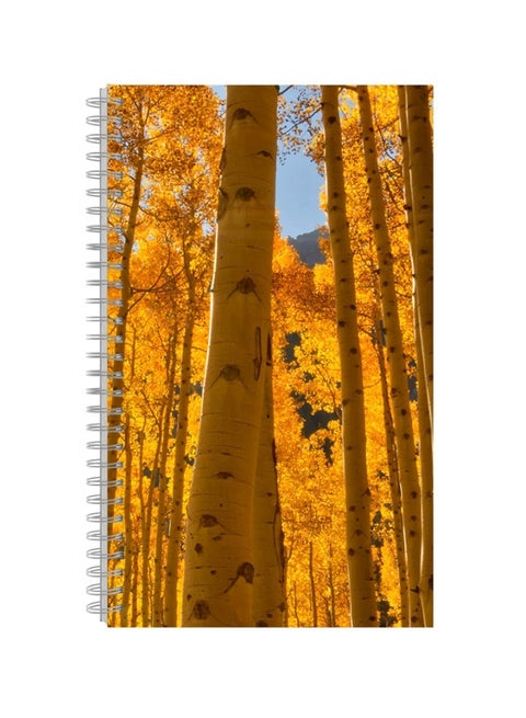 A4 Printed Spiral Bound Notebook Yellow/Blue