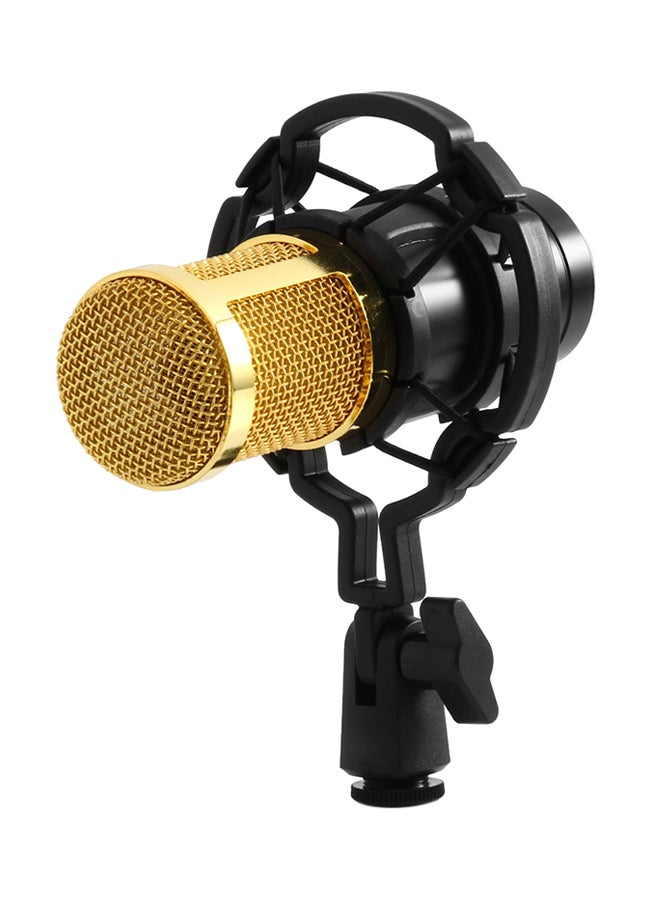Condenser Sound Recording Microphone With Shock Mount BM - 800 Black