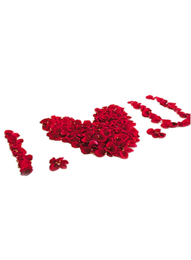 ماركة غير محددة طقم بتلات زهور صناعية من 1000 قطعة أحمر 40x40مم  - Image 3