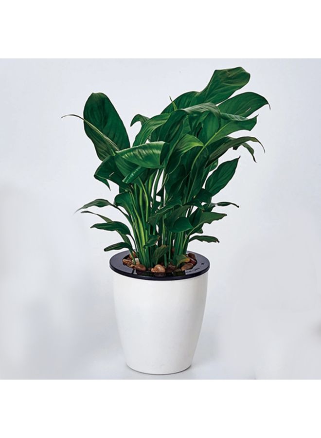 Generic - Double-Layer Design Self Watering Planter Lazy Flower Pot White 12 x 12.2centimeter - Image 1